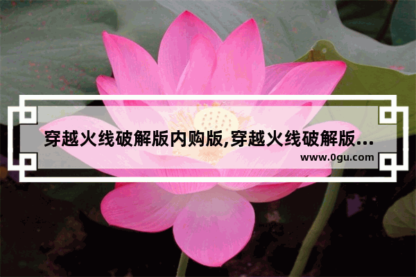 穿越火线破解版内购版,穿越火线破解版内购版