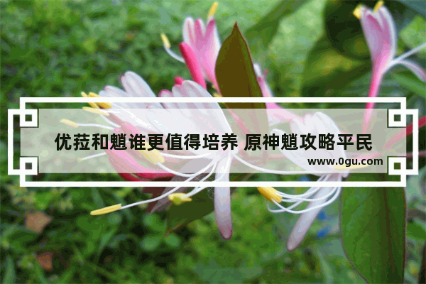 优菈和魈谁更值得培养 原神魈攻略平民