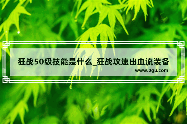 狂战50级技能是什么_狂战攻速出血流装备搭配要属强吗