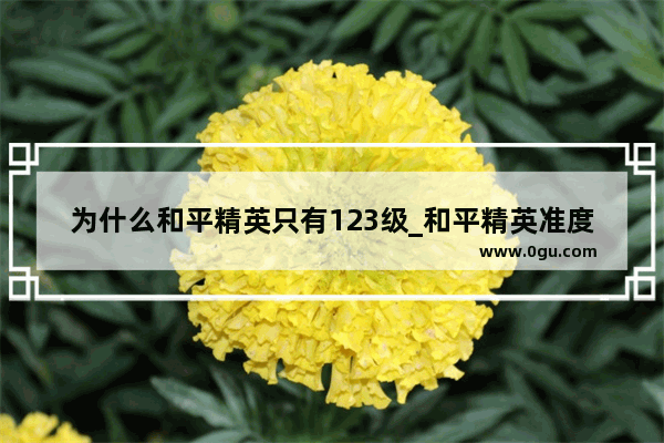 为什么和平精英只有123级_和平精英准度分为几个等级