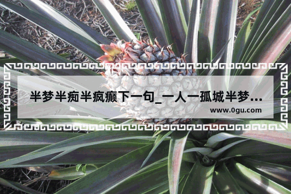 半梦半痴半疯癫下一句_一人一孤城半梦半浮生是什么意思