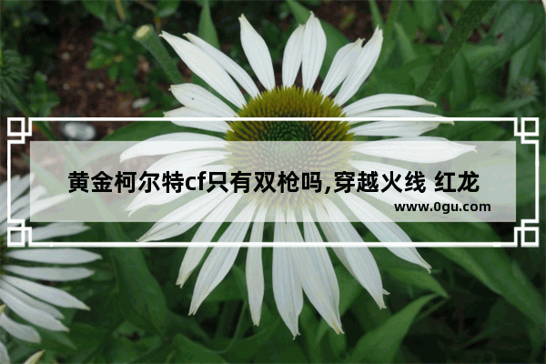 黄金柯尔特cf只有双枪吗,穿越火线 红龙