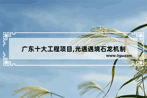 广东十大工程项目,光遇遇境石龙机制