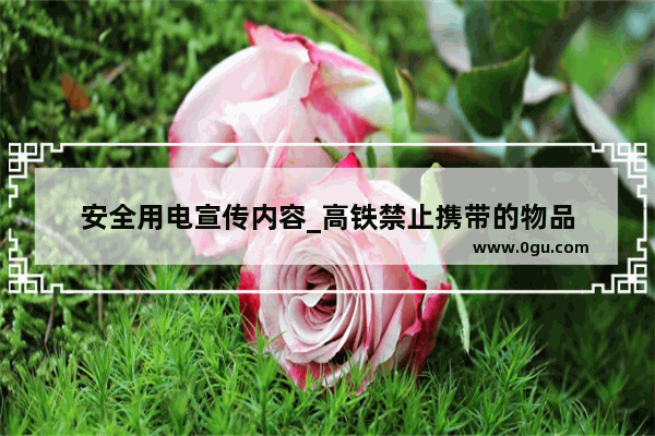 安全用电宣传内容_高铁禁止携带的物品