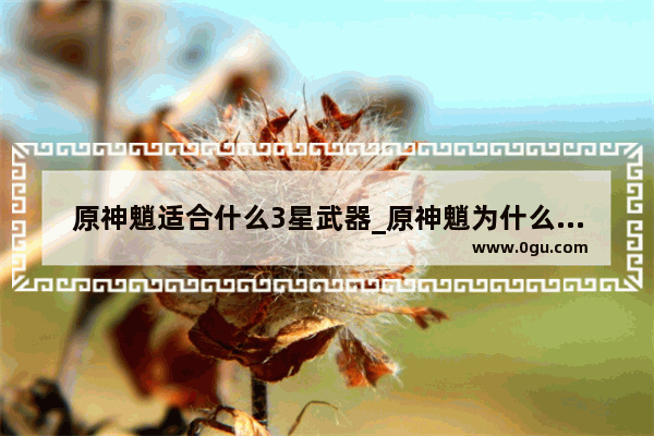 原神魈适合什么3星武器_原神魈为什么深渊使用率不高