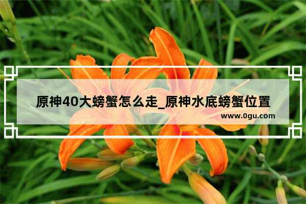 原神40大螃蟹怎么走_原神水底螃蟹位置