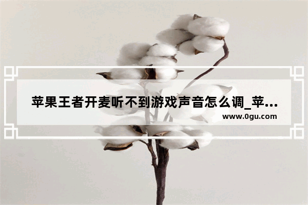 苹果王者开麦听不到游戏声音怎么调_苹果手机玩王者荣耀没声音