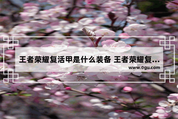 王者荣耀复活甲是什么装备 王者荣耀复活甲是哪个