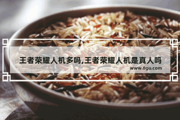 王者荣耀人机多吗,王者荣耀人机是真人吗