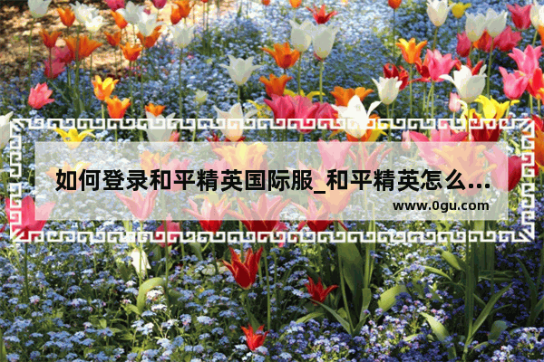 如何登录和平精英国际服_和平精英怎么扫码登录游戏