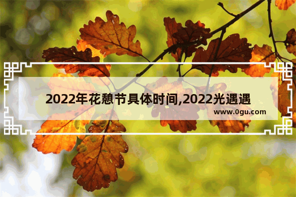 2022年花憩节具体时间,2022光遇遇境挂机