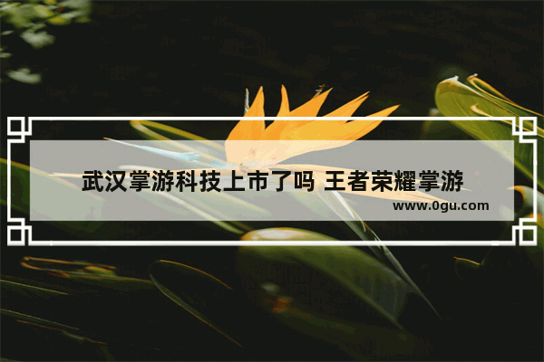 武汉掌游科技上市了吗 王者荣耀掌游