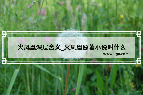 火凤凰深层含义_火凤凰原著小说叫什么