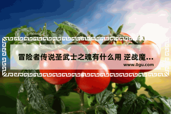 冒险者传说圣武士之魂有什么用 逆战魔的脚
