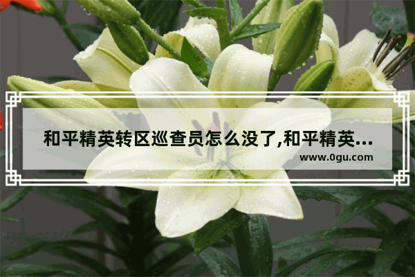 和平精英转区巡查员怎么没了,和平精英巡查活动结束了吗