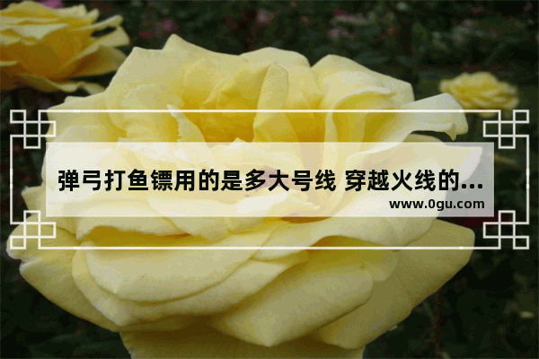 弹弓打鱼镖用的是多大号线 穿越火线的弹弓