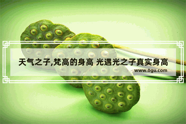 天气之子,梵高的身高 光遇光之子真实身高