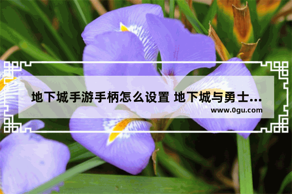 地下城手游手柄怎么设置 地下城与勇士手柄攻略技巧