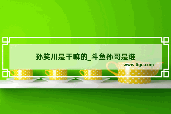 孙笑川是干嘛的_斗鱼孙哥是谁