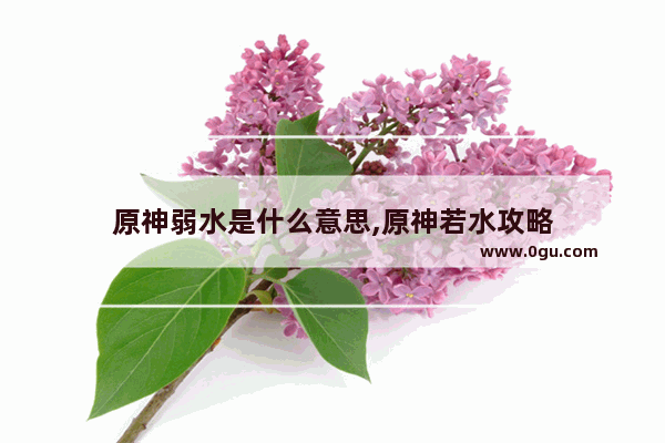 原神弱水是什么意思,原神若水攻略