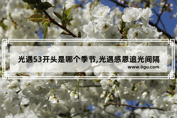 光遇53开头是哪个季节,光遇感恩追光间隔
