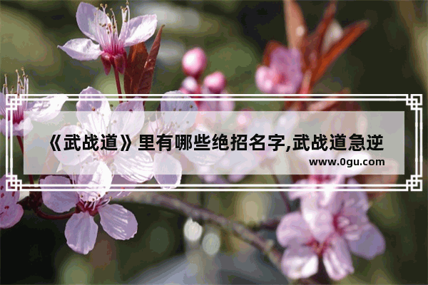 《武战道》里有哪些绝招名字,武战道急逆