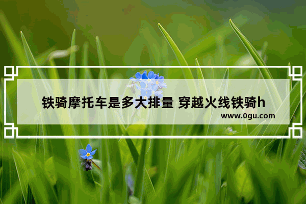 铁骑摩托车是多大排量 穿越火线铁骑h