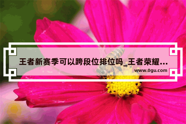 王者新赛季可以跨段位排位吗_王者荣耀可以跨段位排位吗