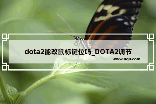 dota2能改鼠标键位吗_DOTA2调节鼠标大小