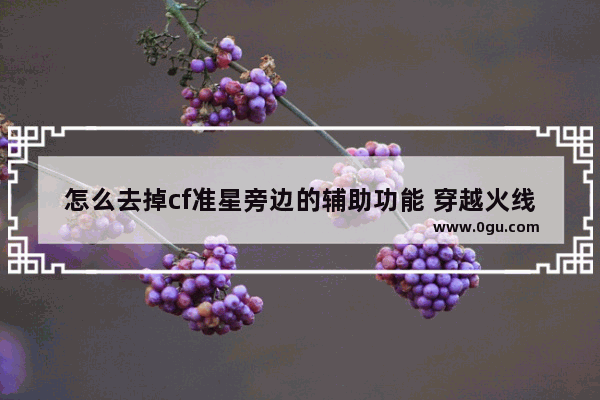 怎么去掉cf准星旁边的辅助功能 穿越火线cf外挂