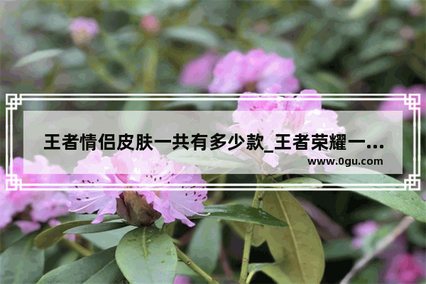 王者情侣皮肤一共有多少款_王者荣耀一共有哪些情侣皮肤