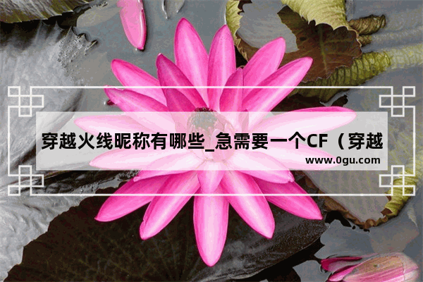 穿越火线昵称有哪些_急需要一个CF（穿越火线）的名字
