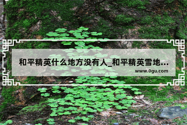 和平精英什么地方没有人_和平精英雪地地图为什么水泥厂有时没有人