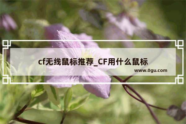 cf无线鼠标推荐_CF用什么鼠标