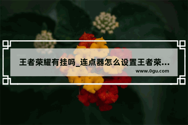 王者荣耀有挂吗_连点器怎么设置王者荣耀秒换装