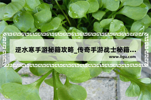 逆水寒手游秘籍攻略_传奇手游战士秘籍怎么选择