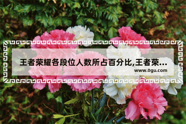 王者荣耀各段位人数所占百分比,王者荣耀段位分布比例