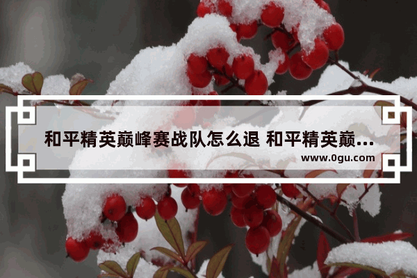和平精英巅峰赛战队怎么退 和平精英巅峰赛怎么退出