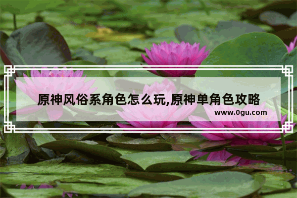 原神风俗系角色怎么玩,原神单角色攻略