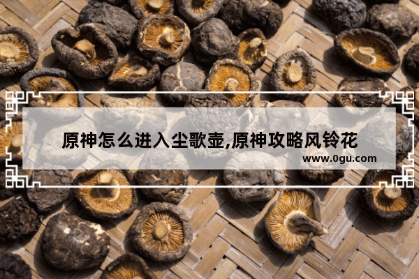 原神怎么进入尘歌壶,原神攻略风铃花