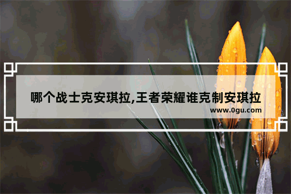 哪个战士克安琪拉,王者荣耀谁克制安琪拉