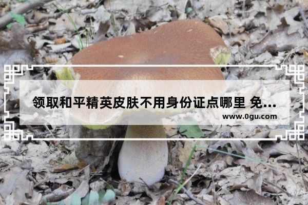 领取和平精英皮肤不用身份证点哪里 免贵领和平精英皮肤