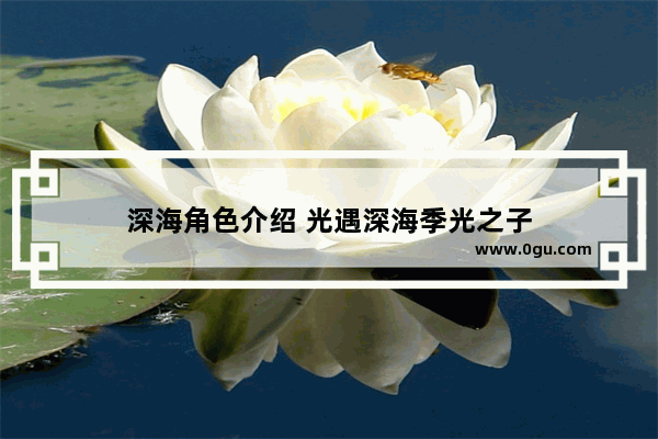 深海角色介绍 光遇深海季光之子