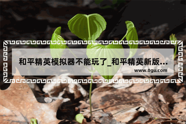 和平精英模拟器不能玩了_和平精英新版本为啥和别人玩不了