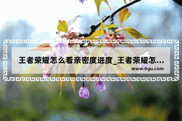 王者荣耀怎么看亲密度进度_王者荣耀怎么看徽章进度