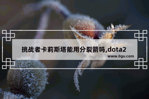 挑战者卡莉斯塔能用分裂箭吗,dota2 分裂箭