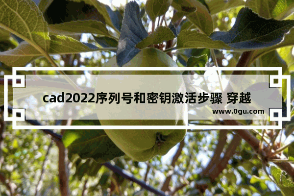 cad2022序列号和密钥激活步骤 穿越火线手游的激活码