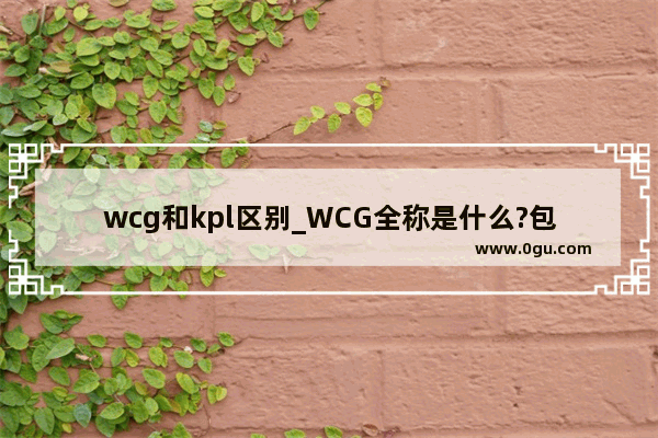 wcg和kpl区别_WCG全称是什么?包含哪些项目
