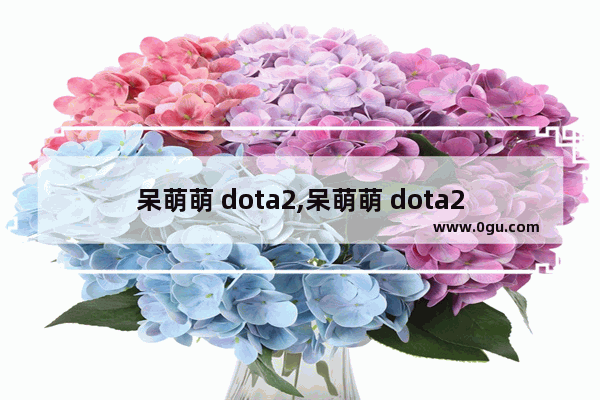 呆萌萌 dota2,呆萌萌 dota2
