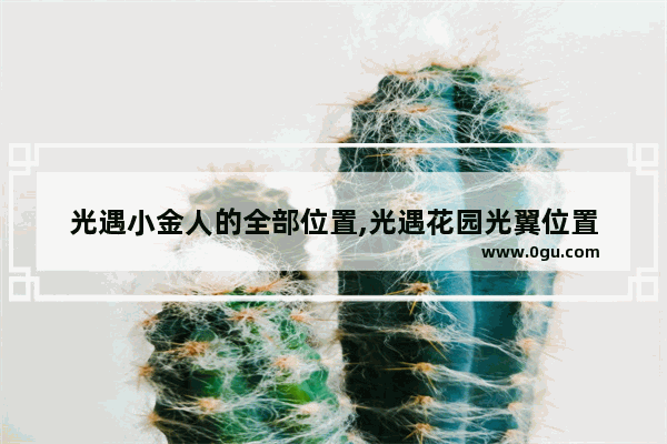 光遇小金人的全部位置,光遇花园光翼位置